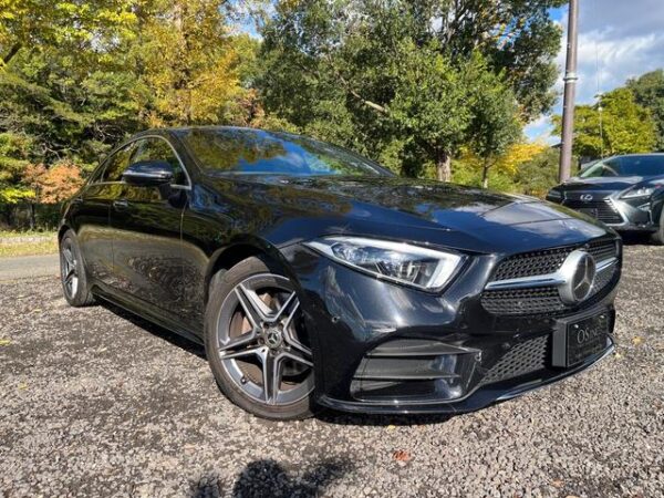 MERCEDES BENZ CLS-CLASS CLS220D SPORTS EXCLUSIVE PACKAGE - Image 2