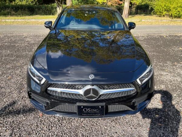 MERCEDES BENZ CLS-CLASS CLS220D SPORTS EXCLUSIVE PACKAGE - Image 3