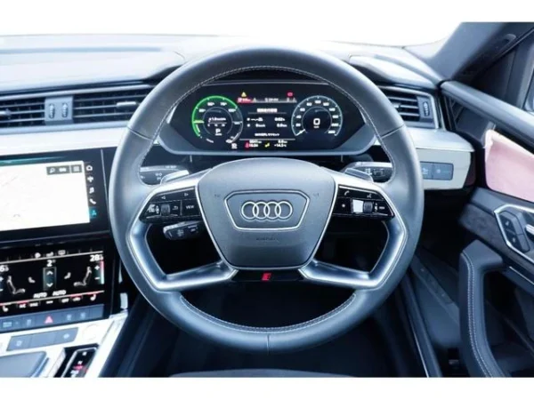 AUDI E-TRON SPORTBACK 55 QUATTRO 1ST EDITION - Image 9