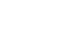 Car Market Japan